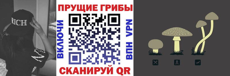 Псилоцибиновые грибы прущие грибы  blacksprut tor  Барыш 
